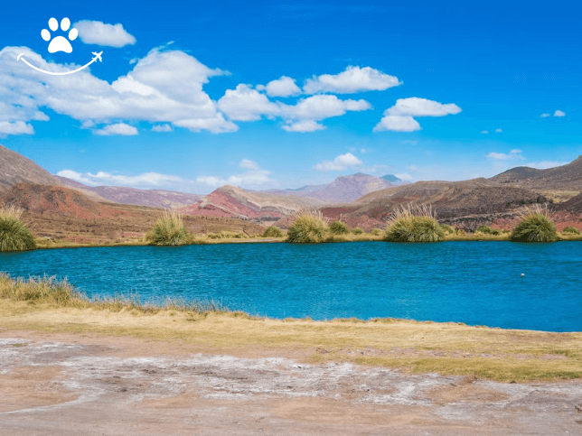 Excursão ao Ojo del Inca (3)