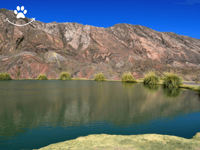 Excursão ao Ojo del Inca (5)