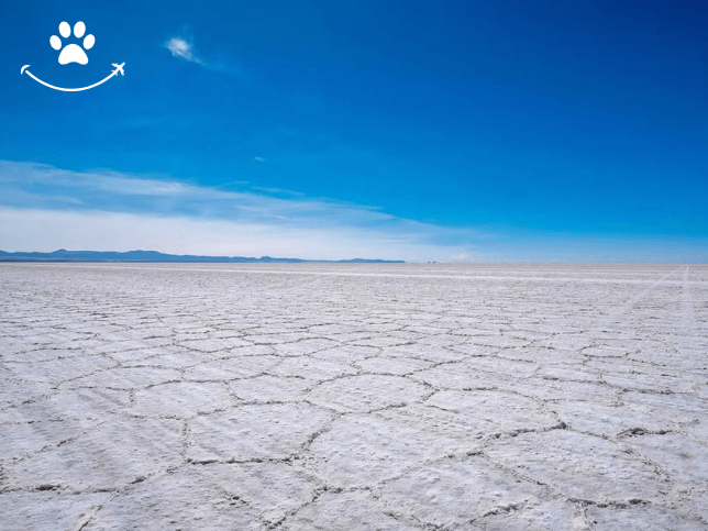 Excursão privada ao salar de Uyuni (2)