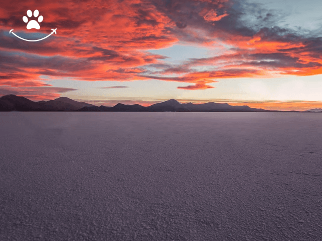 Excursão privada ao salar de Uyuni (6)