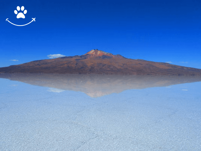 Excursão privada ao salar de Uyuni (7)