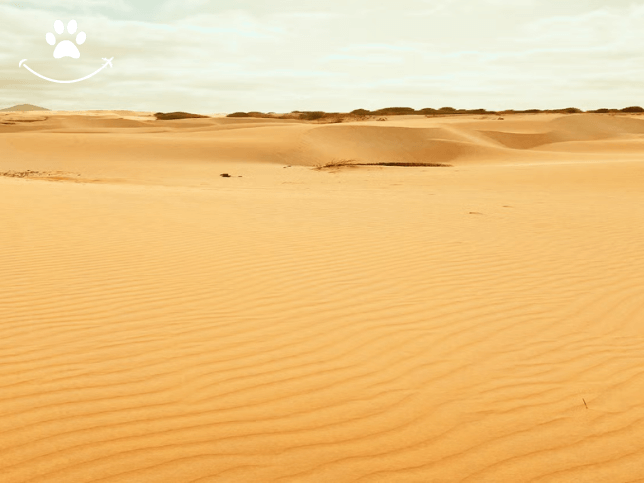 Praia de Santa Mónica, deserto de Viana e grutas da Varandinha (2)