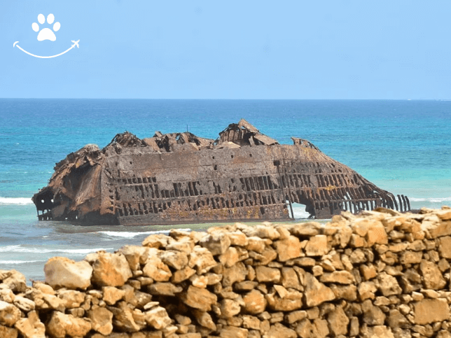 Praia de Santa Mónica, deserto de Viana e grutas da Varandinha (4)