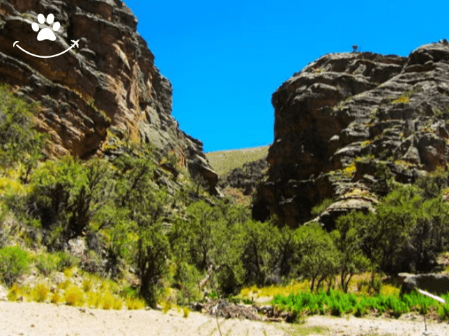 Tour de 2 dias pelos arredores de Potosí (1)