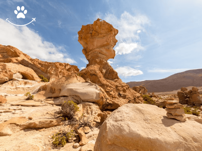 Tour de 2 dias pelos arredores de Potosí (3)