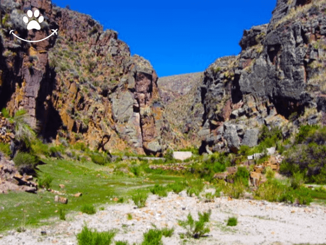 Tour de 2 dias pelos arredores de Potosí (5)