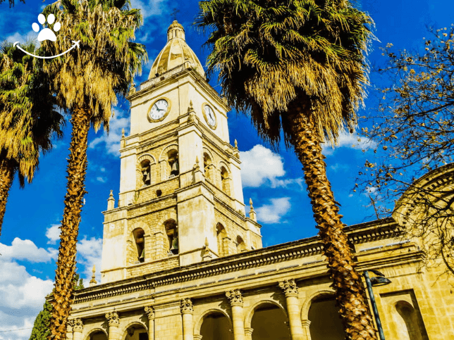 Tour panorâmico por Cochabamba com degustação (4)