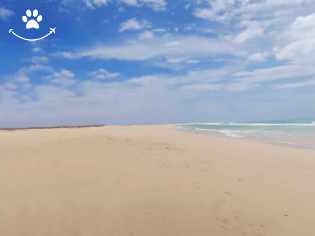 Tour pelo nordeste de Boa Vista + Praia de Ervatão (3)