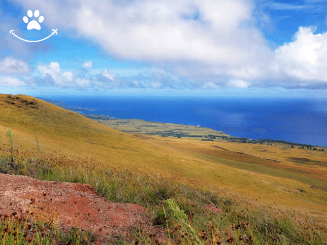 Tour privado pela Ilha de Páscoa (3)