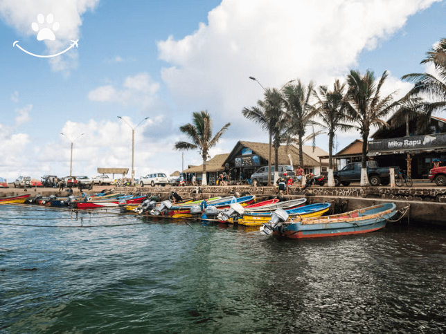 Tour privado pela Ilha de Páscoa (4)