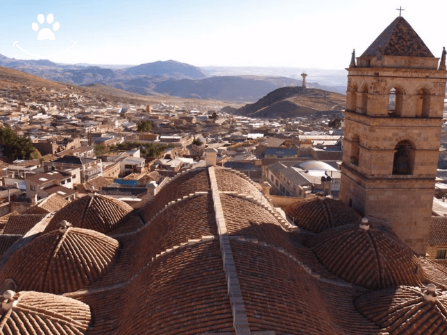 Tour privado por Potosí (5)