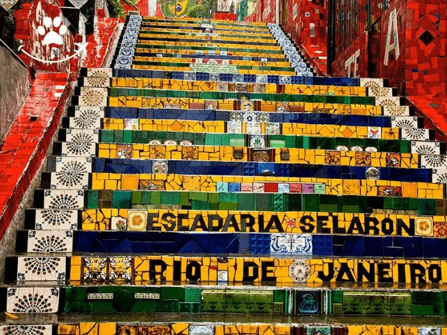 Free tour pelo centro histórico do Rio e Lapa (4)