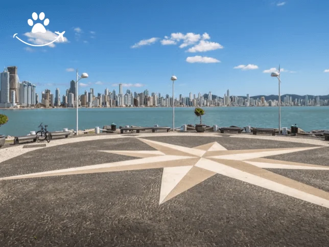 Ônibus turístico de Balneário Camboriú (3)