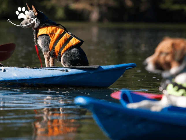 Tour de caiaque pelo rio Parnaíba ao entardecer (3)