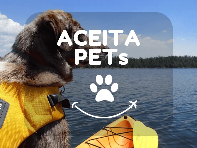 Tour de caiaque pelo rio Parnaíba ao entardecer (5)