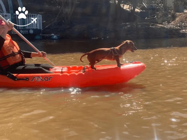 Tour de caiaque pelo rio Poti (3)