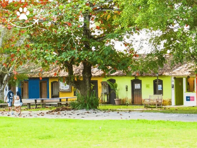 Tour fotográfico por Trancoso (4)