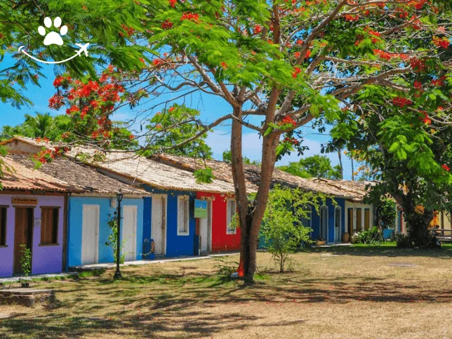 Tour fotográfico por Trancoso (6)