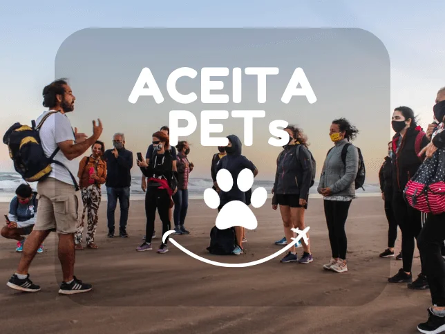 Trilha pela costa de Mar del Plata (8)