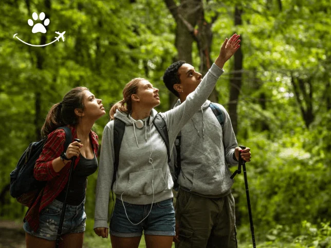 Trilha por San Lorenzo (2)