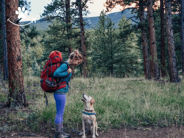 Trilha por San Lorenzo (3)