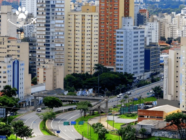 Visita guiada por Campinas (6)