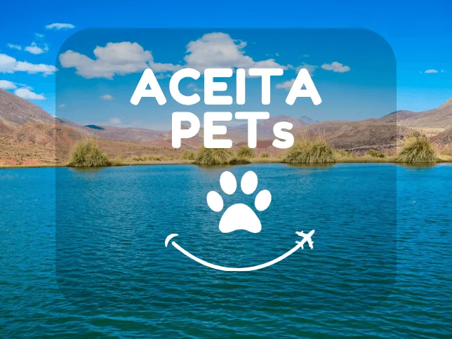 Excursão ao Ojo del Inca (6)